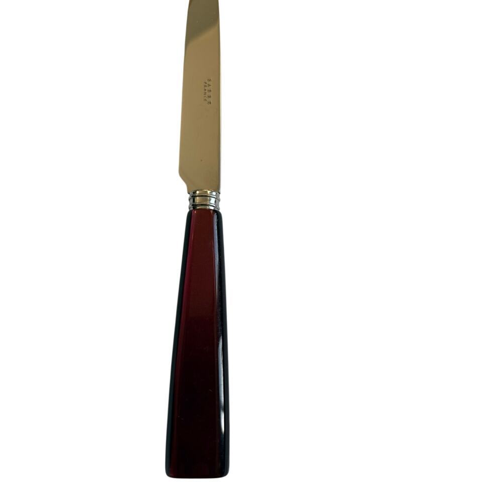 NEW Sabre Paris Icône Aubergine Dinner Knife 18/10 Stainless Acrylic